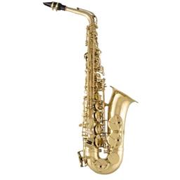 Selmer SAS711 Professional Alto Sax