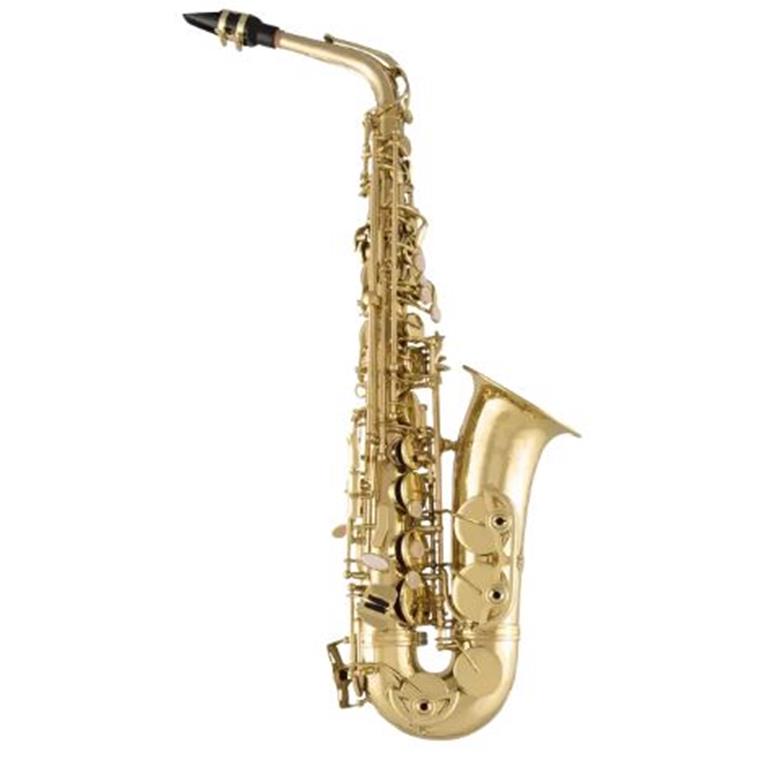 Selmer SAS711 Professional Alto Sax