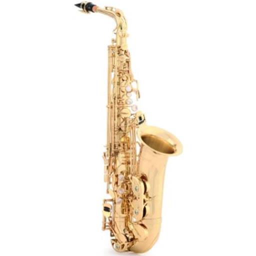 Yanagisawa AW01 Pro Model Alto Saxophone
